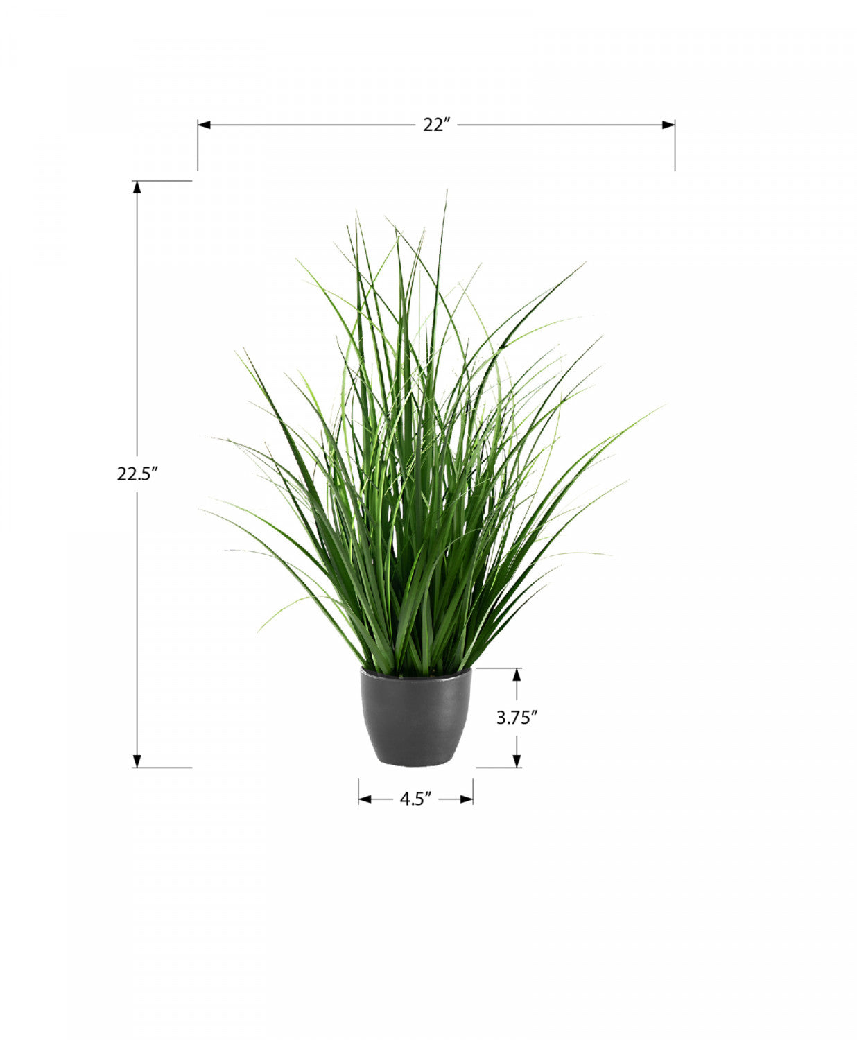 26" Grass Plant With 4" Black Pot - Green