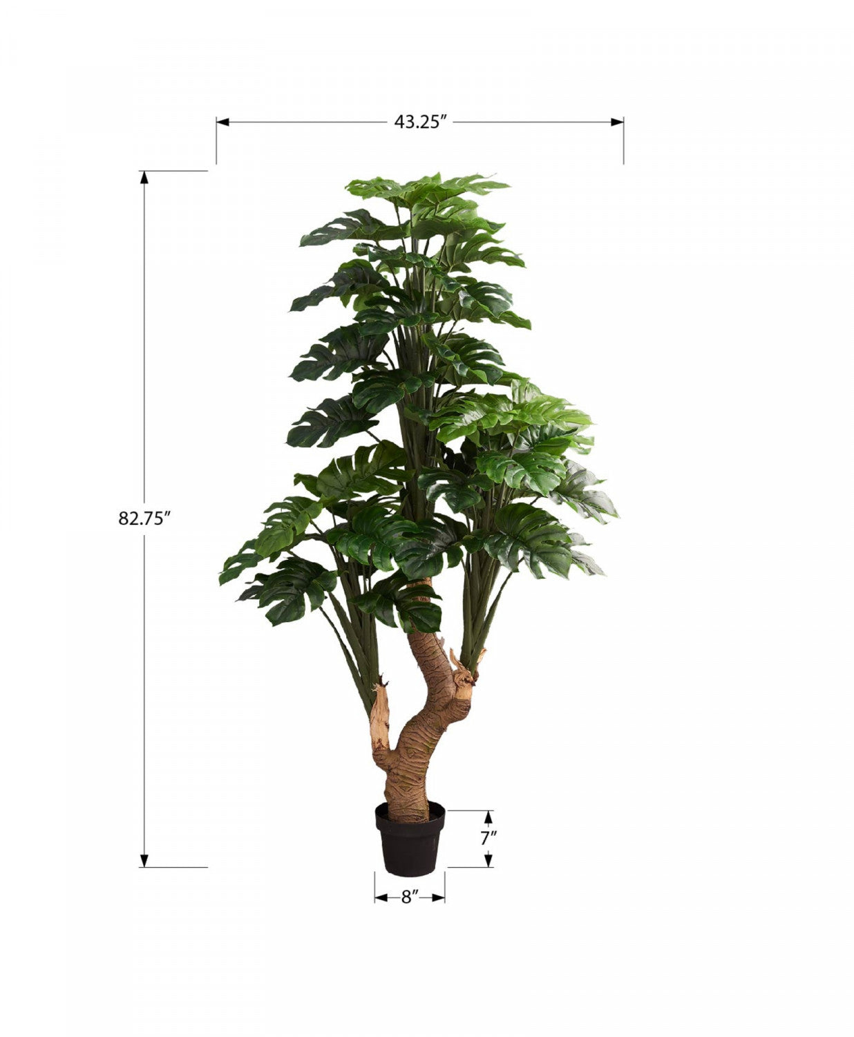 83" Monstera Tree With 8" Black Pot - Green