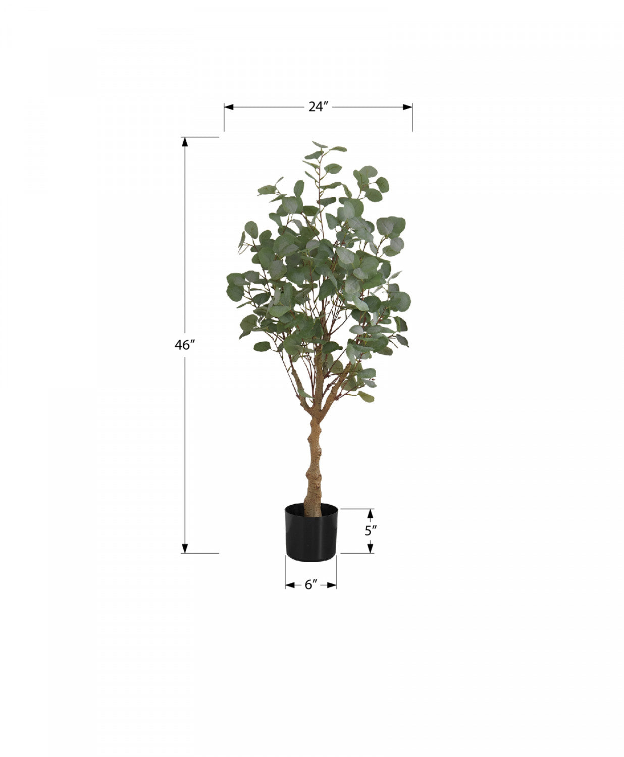 46" Eucalyptus Tree With 5" Black Pot - Green