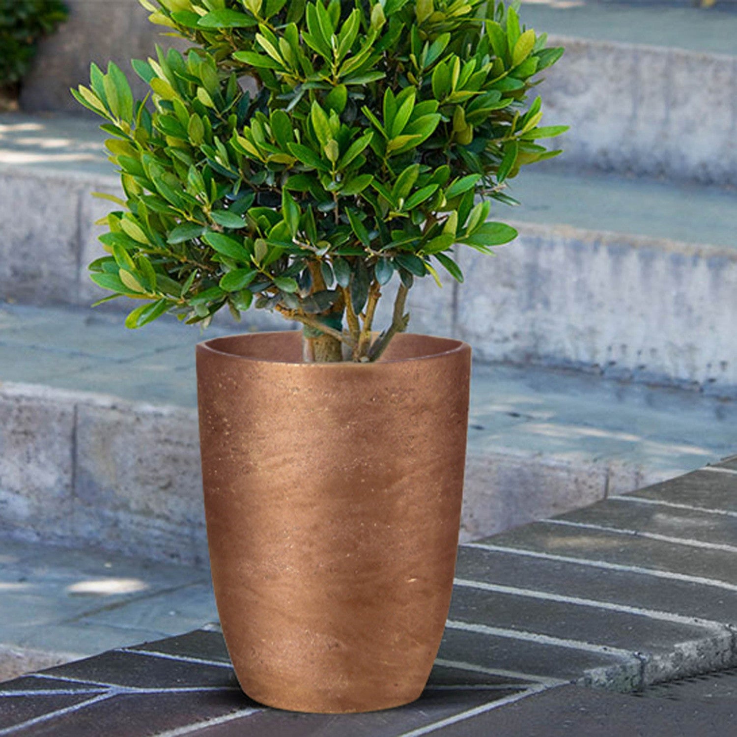 Stravik Medium Tapered Planter - Metallic Bronze