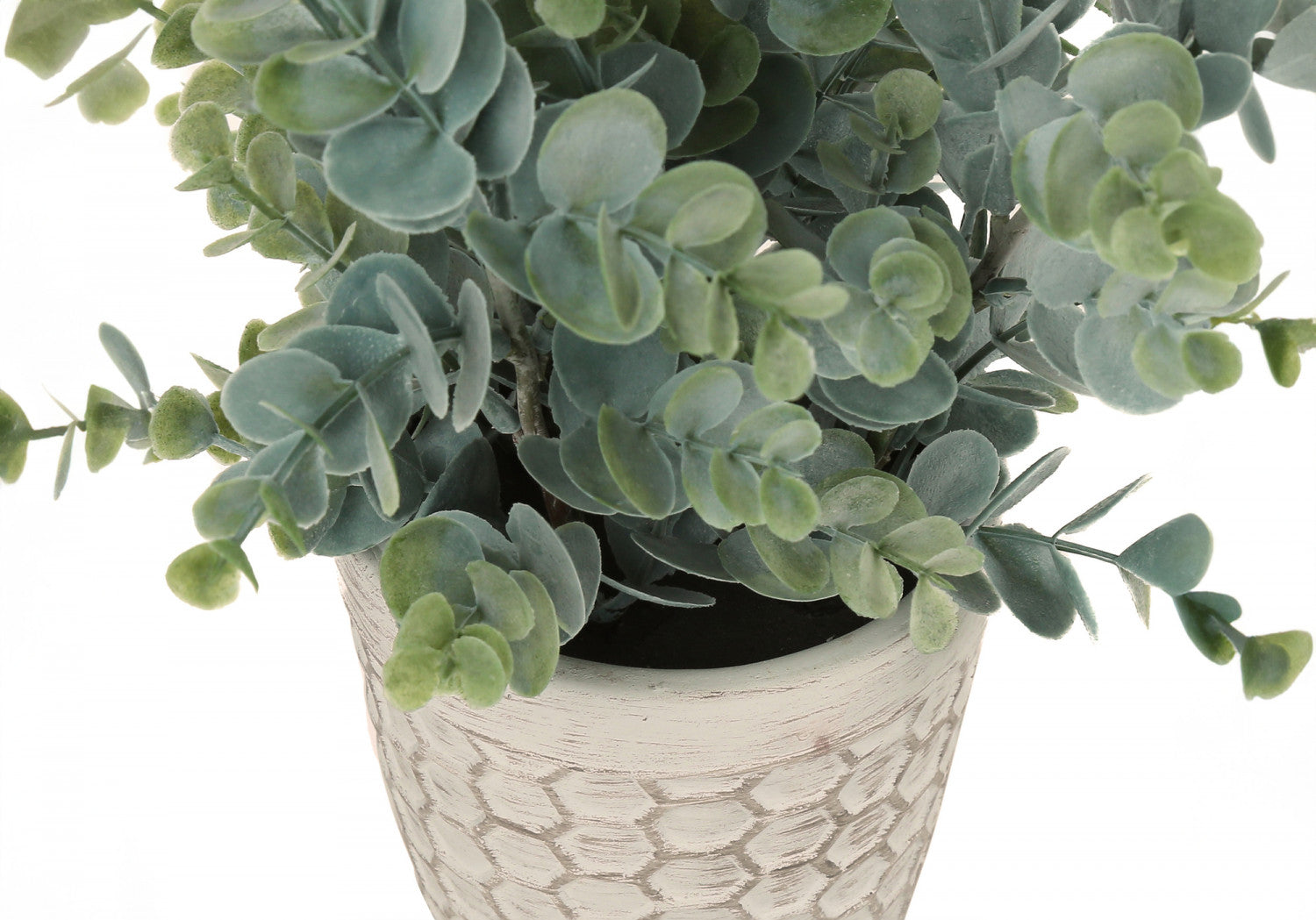 13" Eucalyptus Grass Plant With 4" White Pot - Green - Set of Two