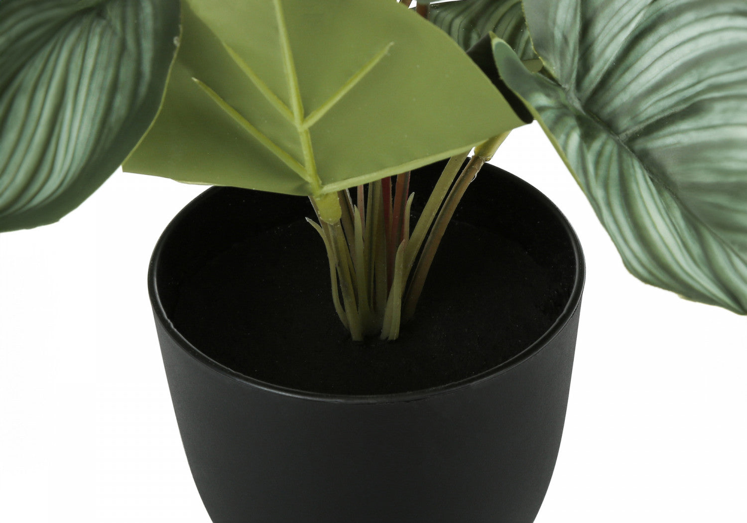 13" Epipremnum Plant With 4" Black Pot - Green - Set Of Two