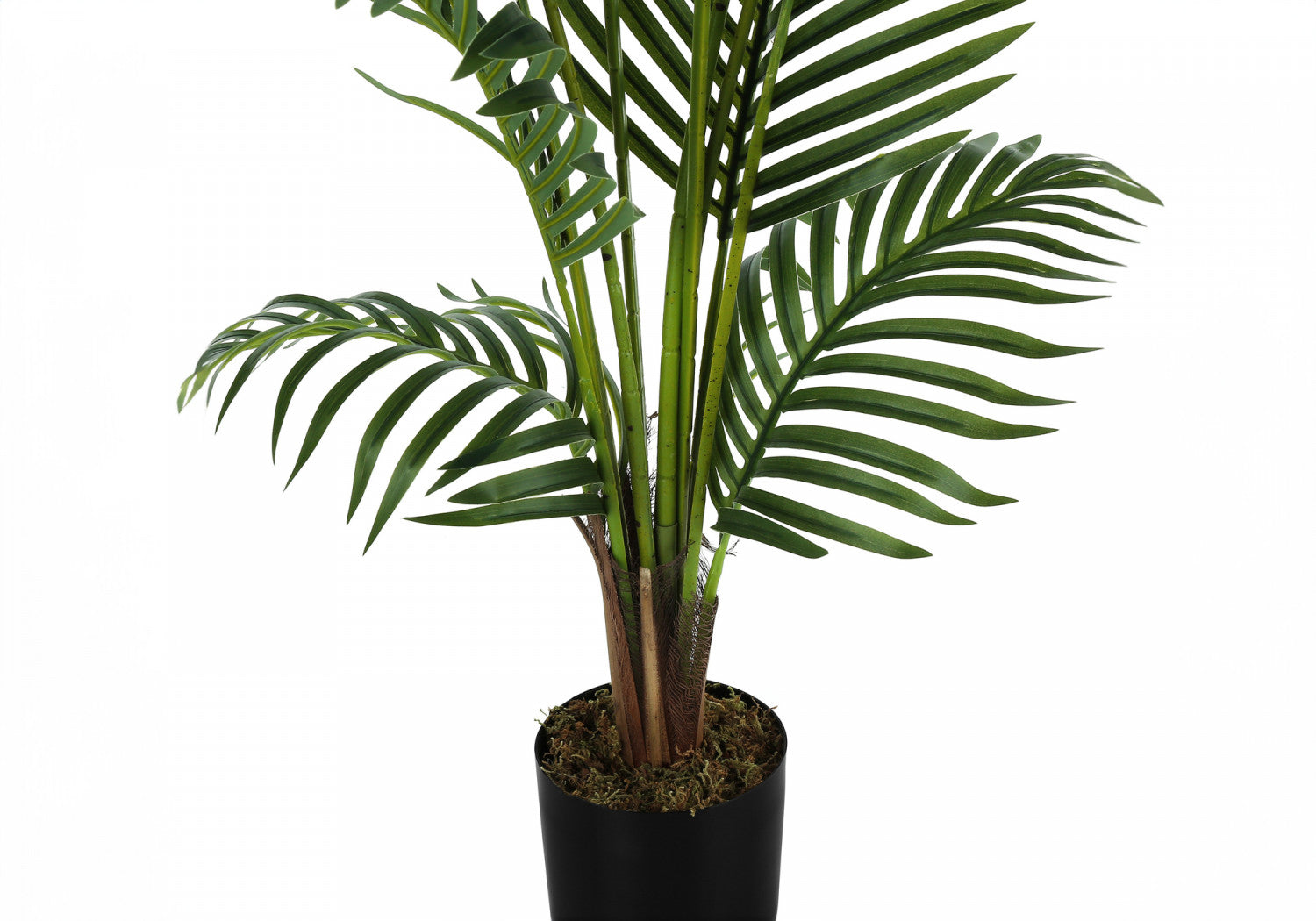 47" Palm Tree With 5" Black Pot - Green