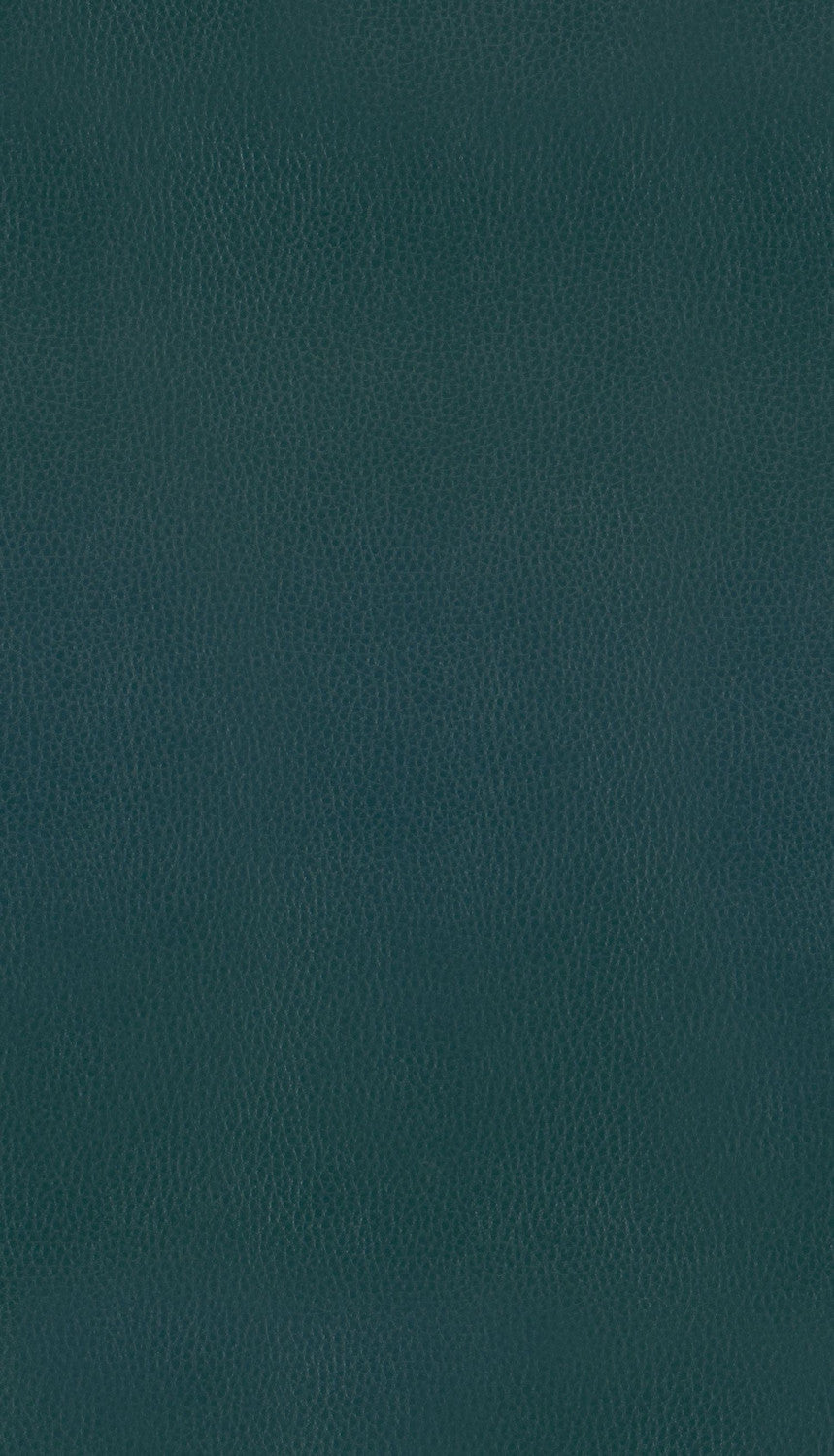 Ordway Counter Stool - Green