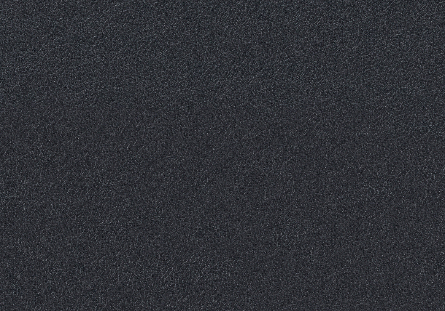 Cabot Dining Chair - Black/Chrome - Set Of Two