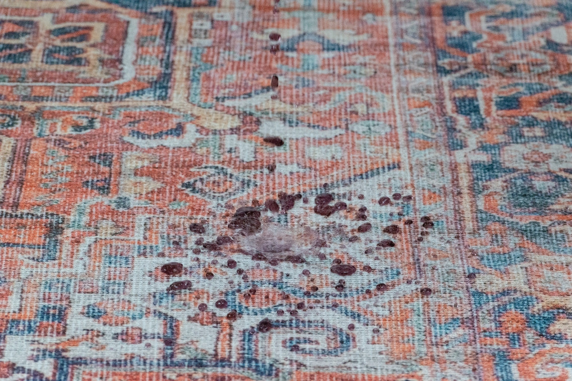 Aura Traditional Rug - 8' x 10' - Red/Blue