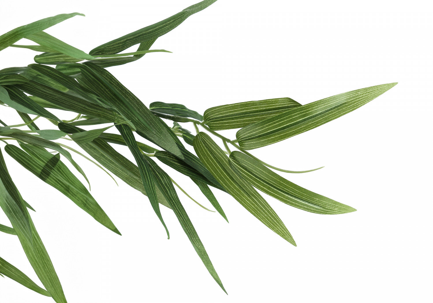 50" Bamboo Tree With 5" Black Pot - Green