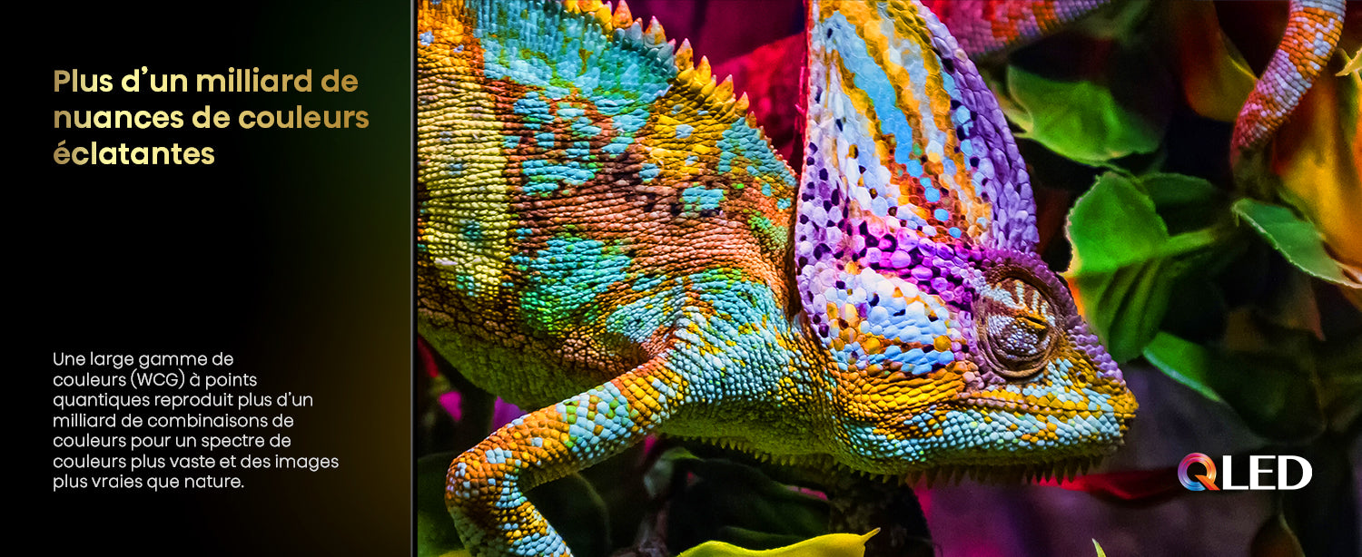 Hisense Téléviseur intelligent 55 po QLED mini DEL 4K 55U68QF--