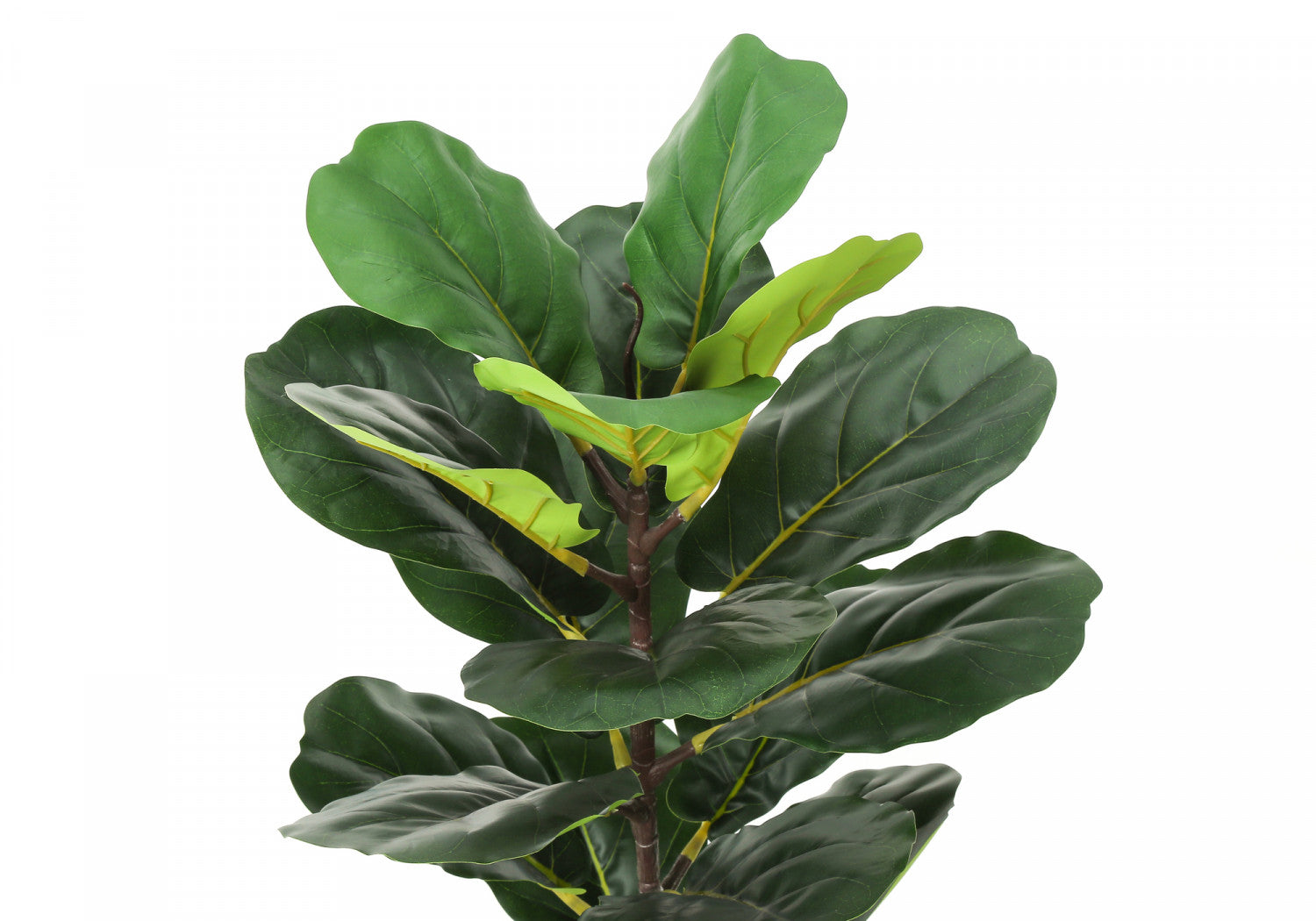 28" Fiddle Tree With 8" Woven Basket Pot - Green