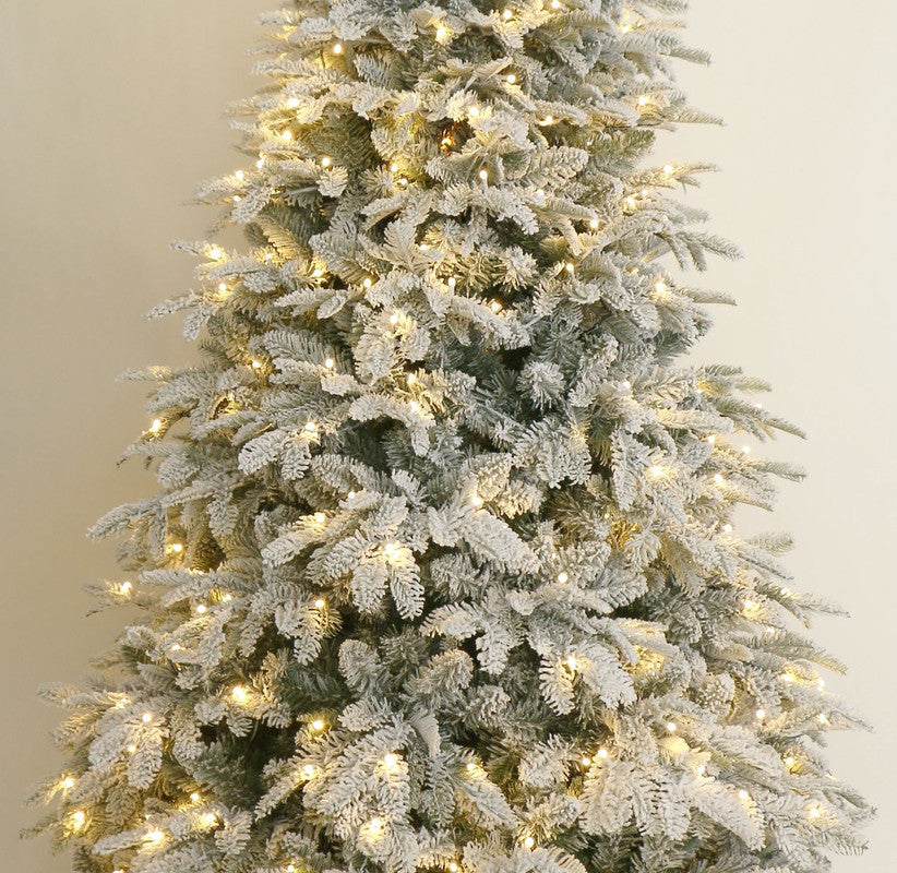 Aalborg 6 Ft Deep Forest Snow Spruce Pre-lit Christmas Tree - Warm White