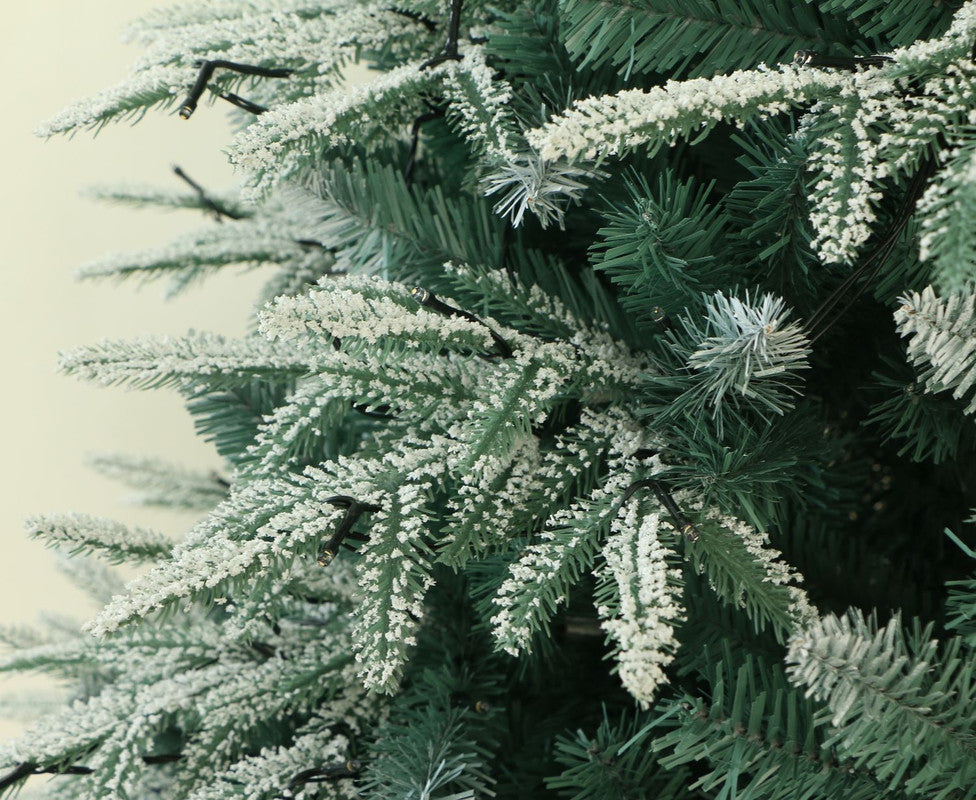 Utrecht 4 Ft Frosted Colorado ICY-Blue Pine Christmas Tree Pre-lit with LED Lights - Warm White