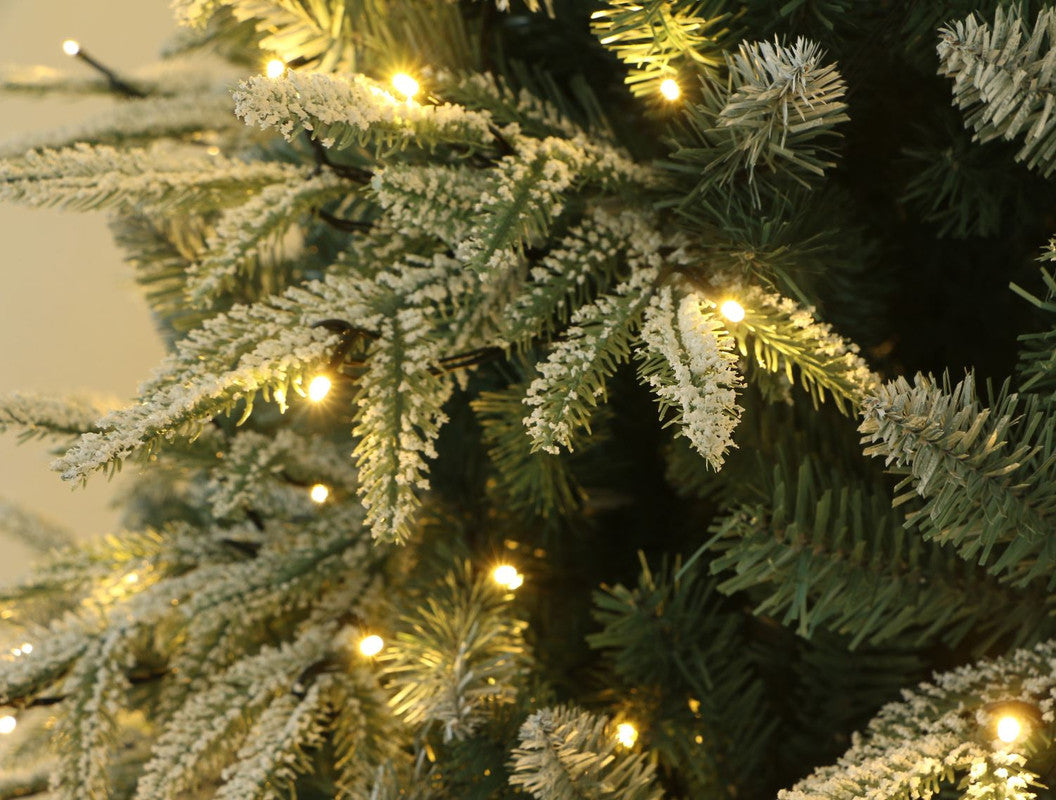 Utrecht 4 Ft Frosted Colorado ICY-Blue Pine Christmas Tree Pre-lit with LED Lights - Warm White