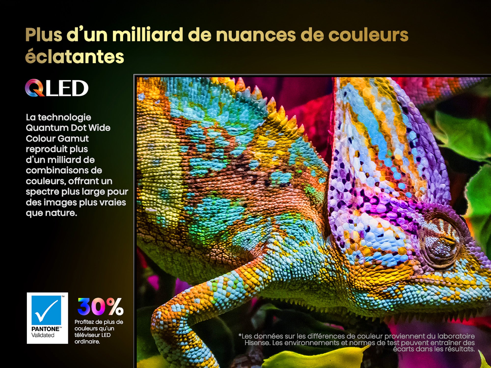 Hisense Téléviseur intelligent 65 po QLED mini DEL Pro 4K 165Hz 65U88QG--