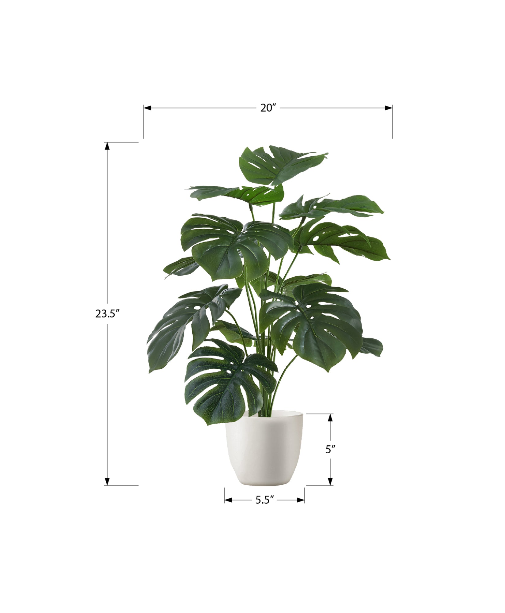 24" Monstera Plant with 5" White Pot - Green - Set of Two