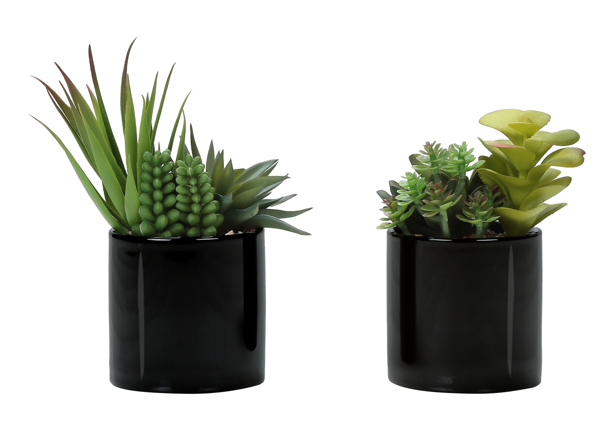 7" Succulent Plant with 3" Black Pot - Green - Set of 2