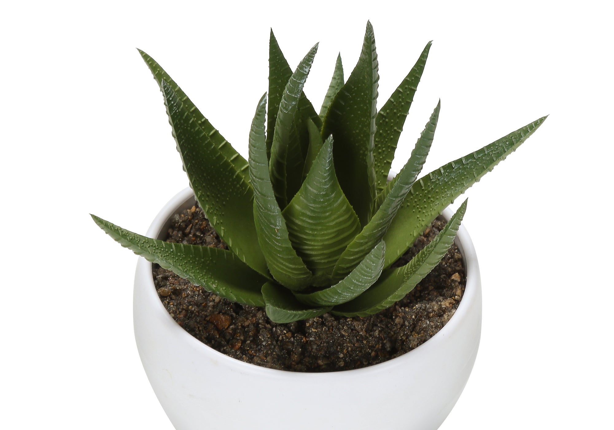 6" Succulent Plant with White Pot - Green - Set of 3