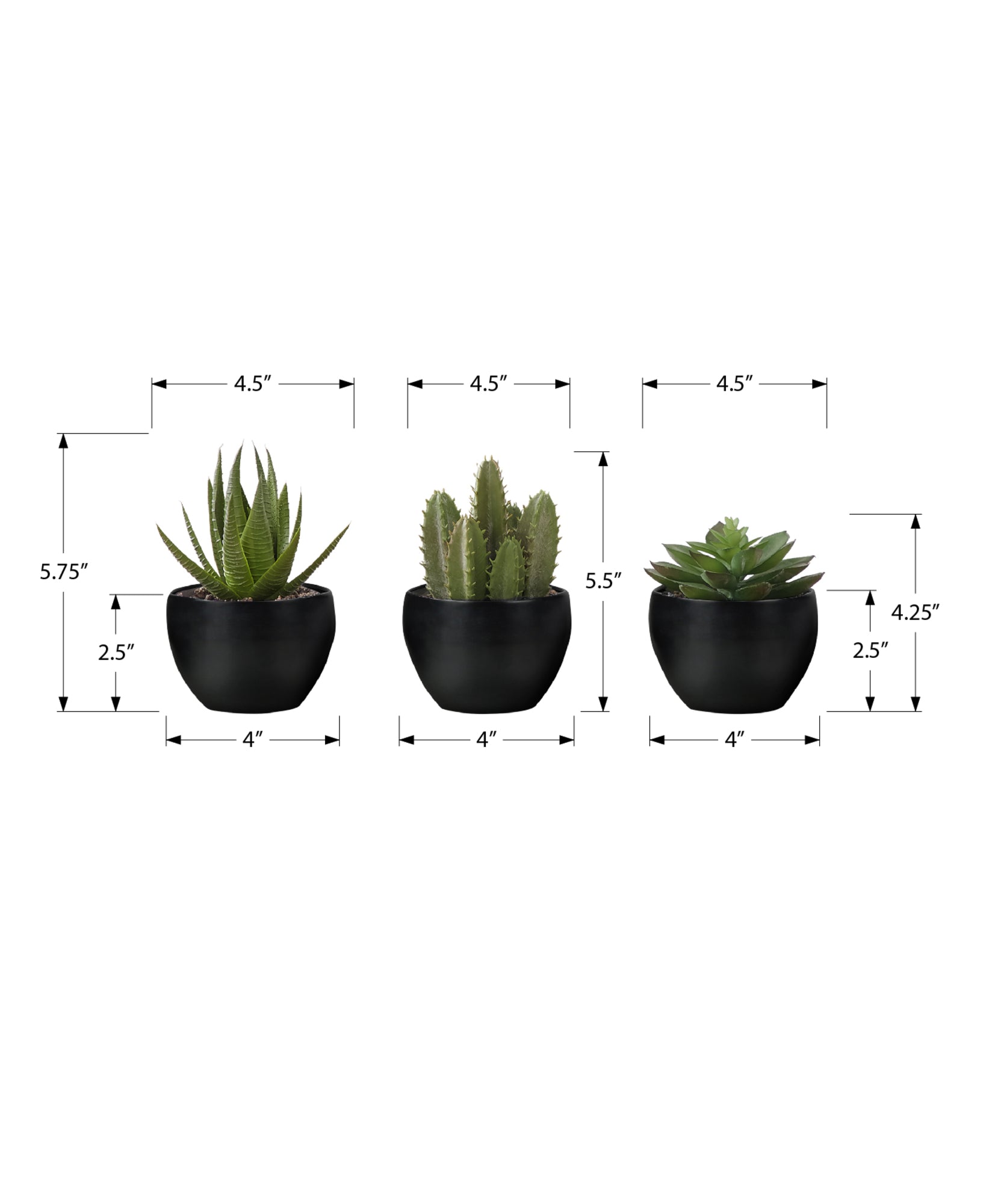 6" Succulent Plant with Black Pot - Green - Set of 3