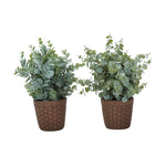 13" Eucalyptus and Grass Plants with 5" Brown Pot - Green - Set of Two