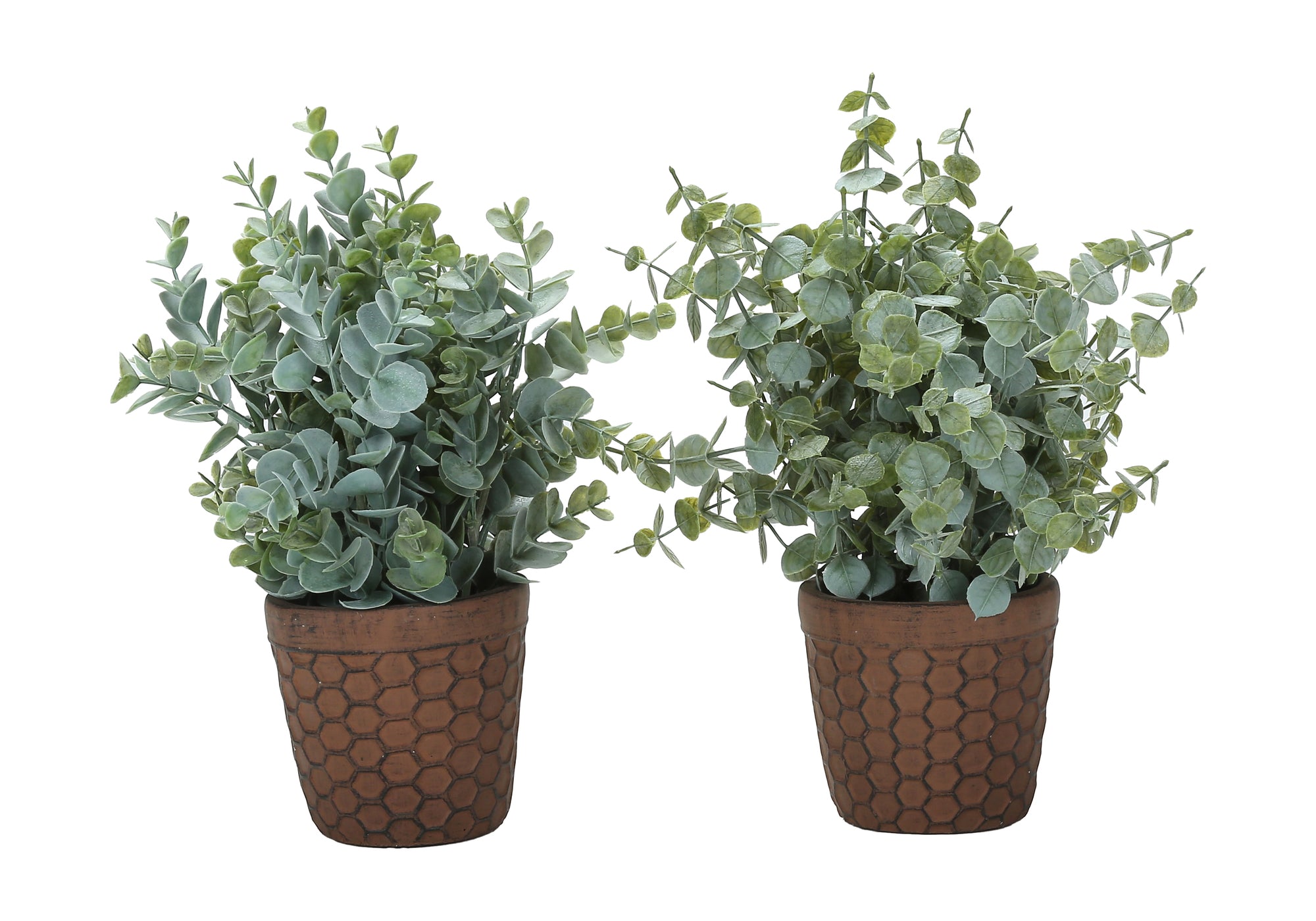 13" Eucalyptus and Grass Plants with 5" Brown Pot - Green - Set of Two