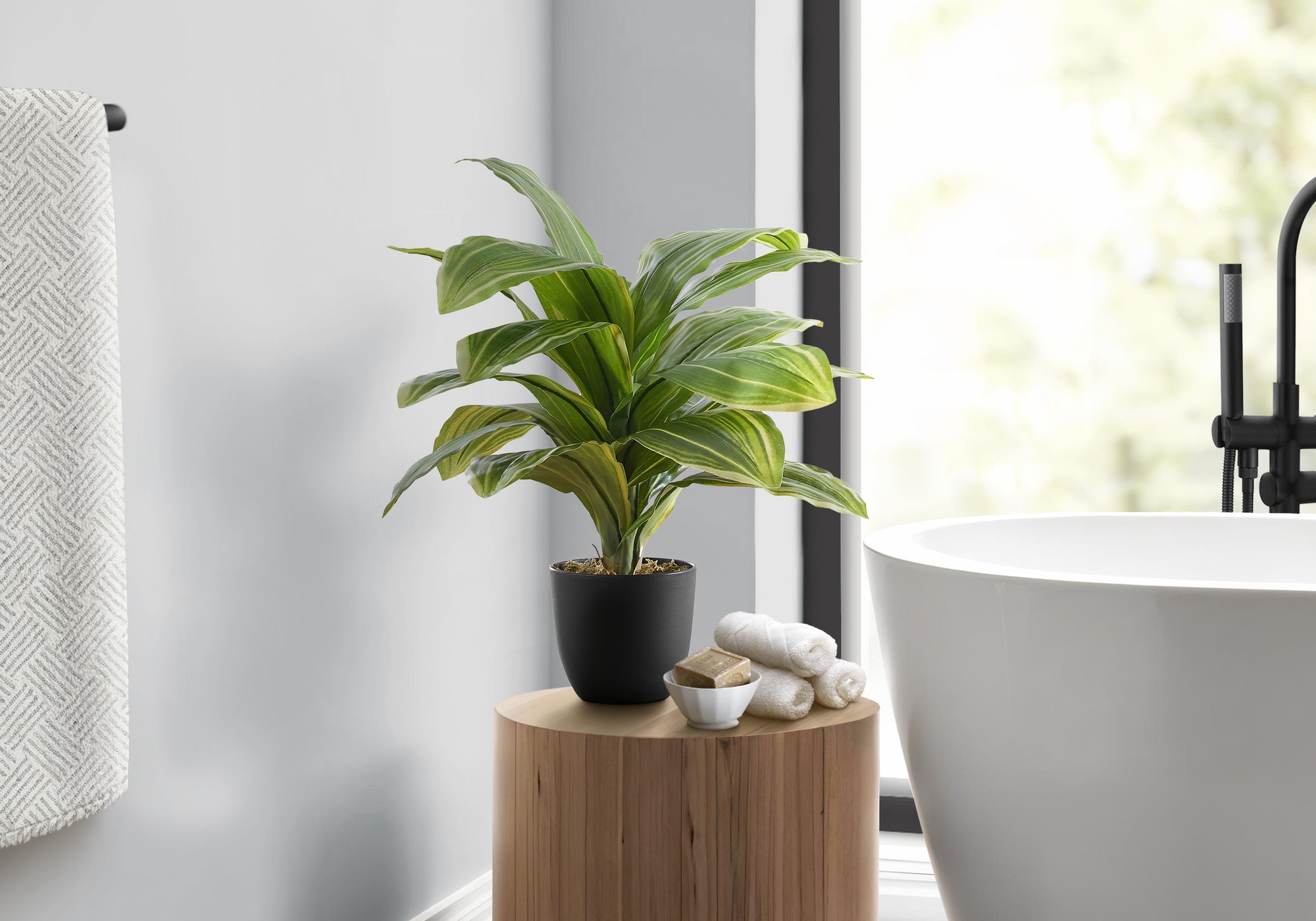 17" Dracaena Plant With 4" Black Pot - Green