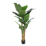 Garden Party 5.91ft Artificial Indoor Multi-Trunk Banana Tree