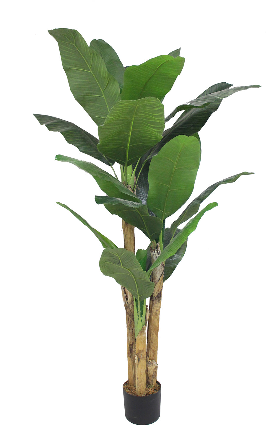 Garden Party 5.91ft Artificial Indoor Multi-Trunk Banana Tree