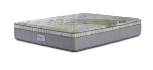 En pleine floraison - Beautyrest BeautySleep® Max Drift moyen à plateau euro Matelas très grand