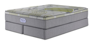 En pleine floraison - Beautyrest BeautySleep® Max Drift moyen à plateau euro Ens. Matelas grand et demi-sommiers