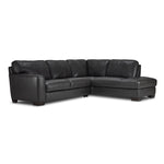 Halden Leather 2-Piece Sectional with Right Facing Chaise - Carbon Grey