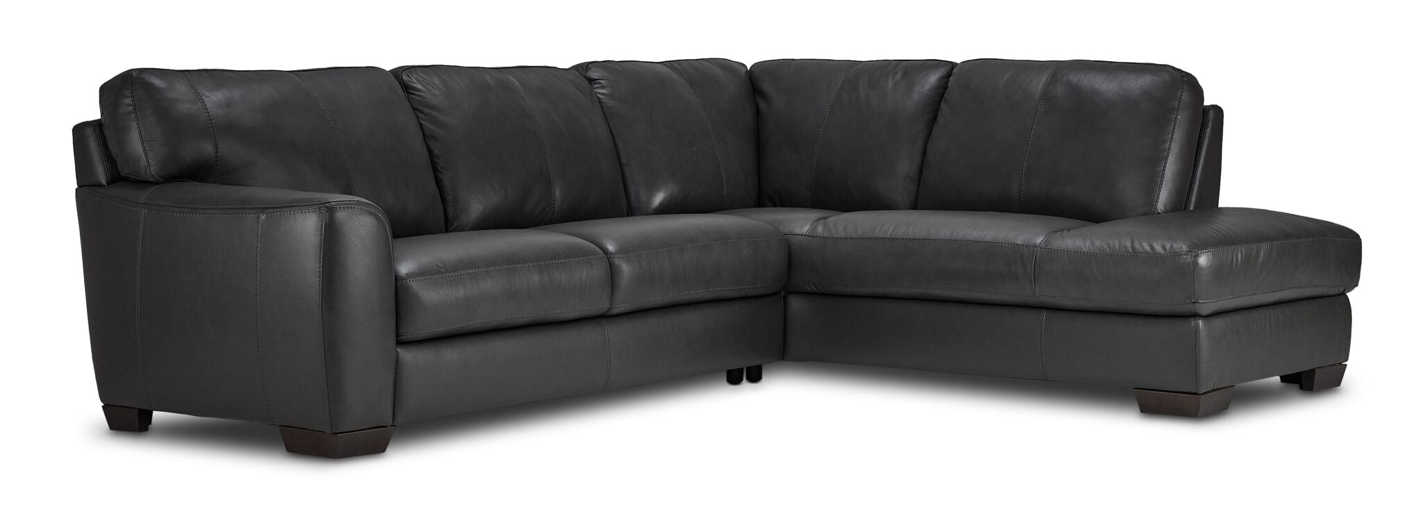 Halden Leather 2-Piece Sectional with Right Facing Chaise - Carbon Grey