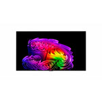 LG 65" 4K Smart OLED Evo AI G6 4K Smart TV With Wall Mount - OLED65G6WUA.ACC