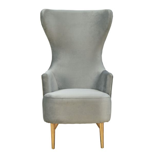 Elray Velvet Wingback Accent Chair - Grey