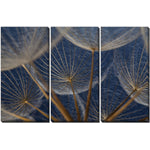 Blue Dandelions Wall Art - Blue - 45 X 30 - Set of 3