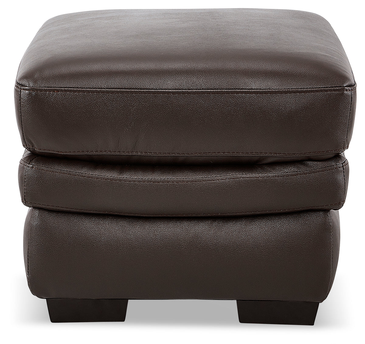 Lenny Ottoman - Brown