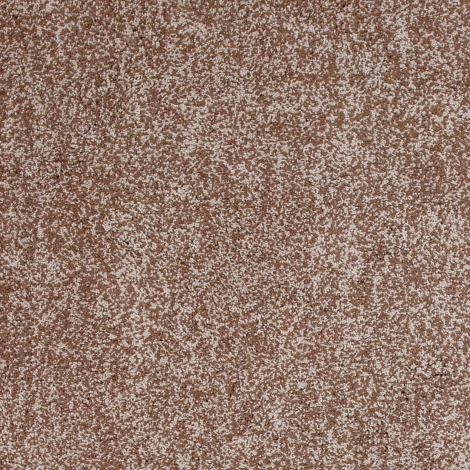 Bahia XVII 5' x 7' - Beige Heather Area Rug