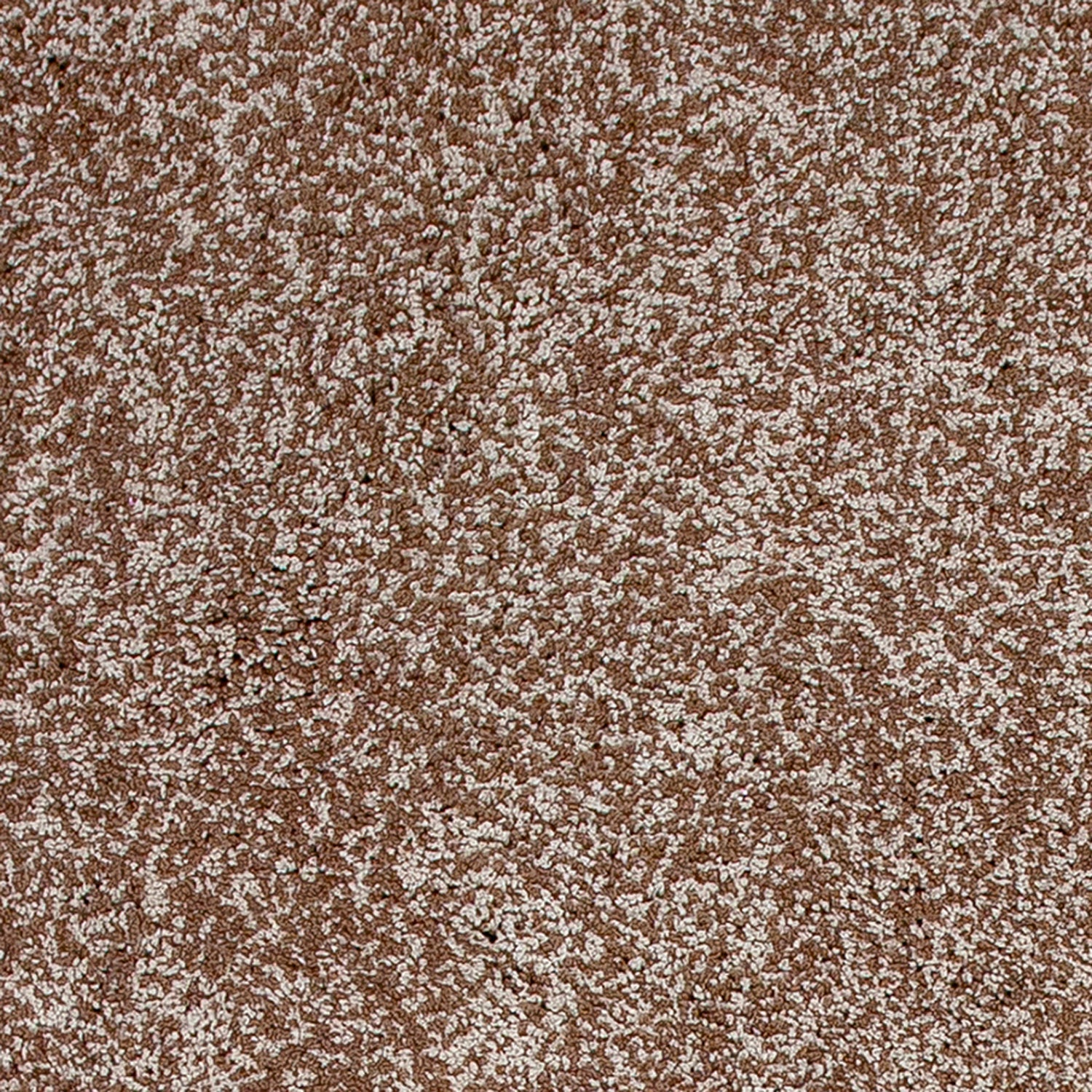 Bahia XVII 5' x 7' - Beige Heather Area Rug