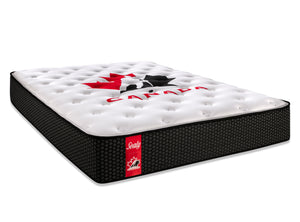Sealy Hockey Canada Home semi-ferme Matelas simple