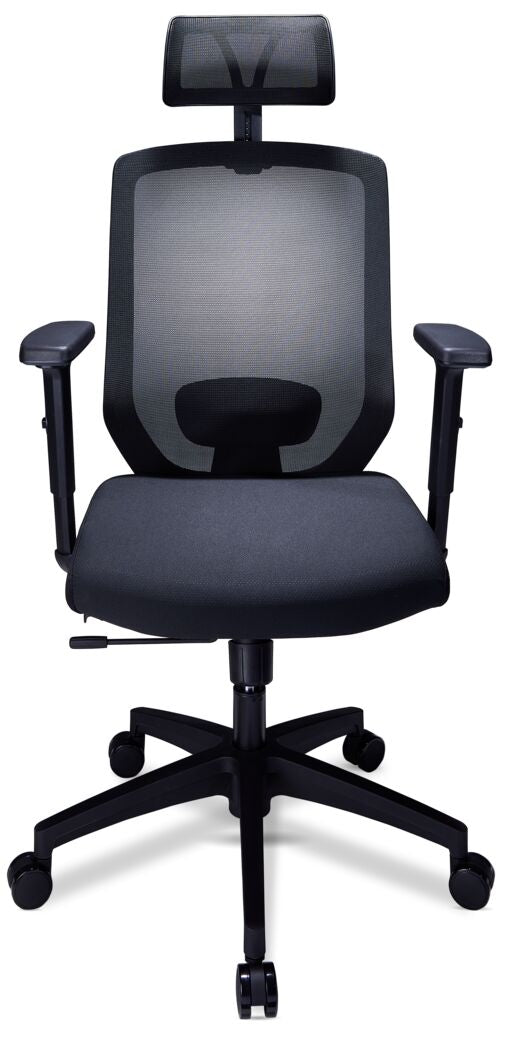 Dinah Ergonomic Office Chair - Graphite