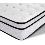 Sealy® Essentials Prodigy Medium Mattress Collection