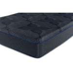 Sealy Posturepedic® Luxury Hybrid Aneira Plush Twin XL Mattress