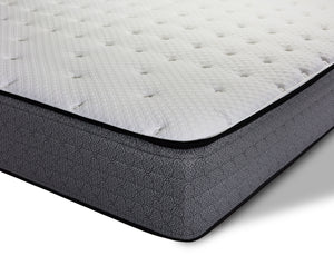 Sealy Posturepedic® Plus Série Sterling Serenity Pro ferme Matelas double