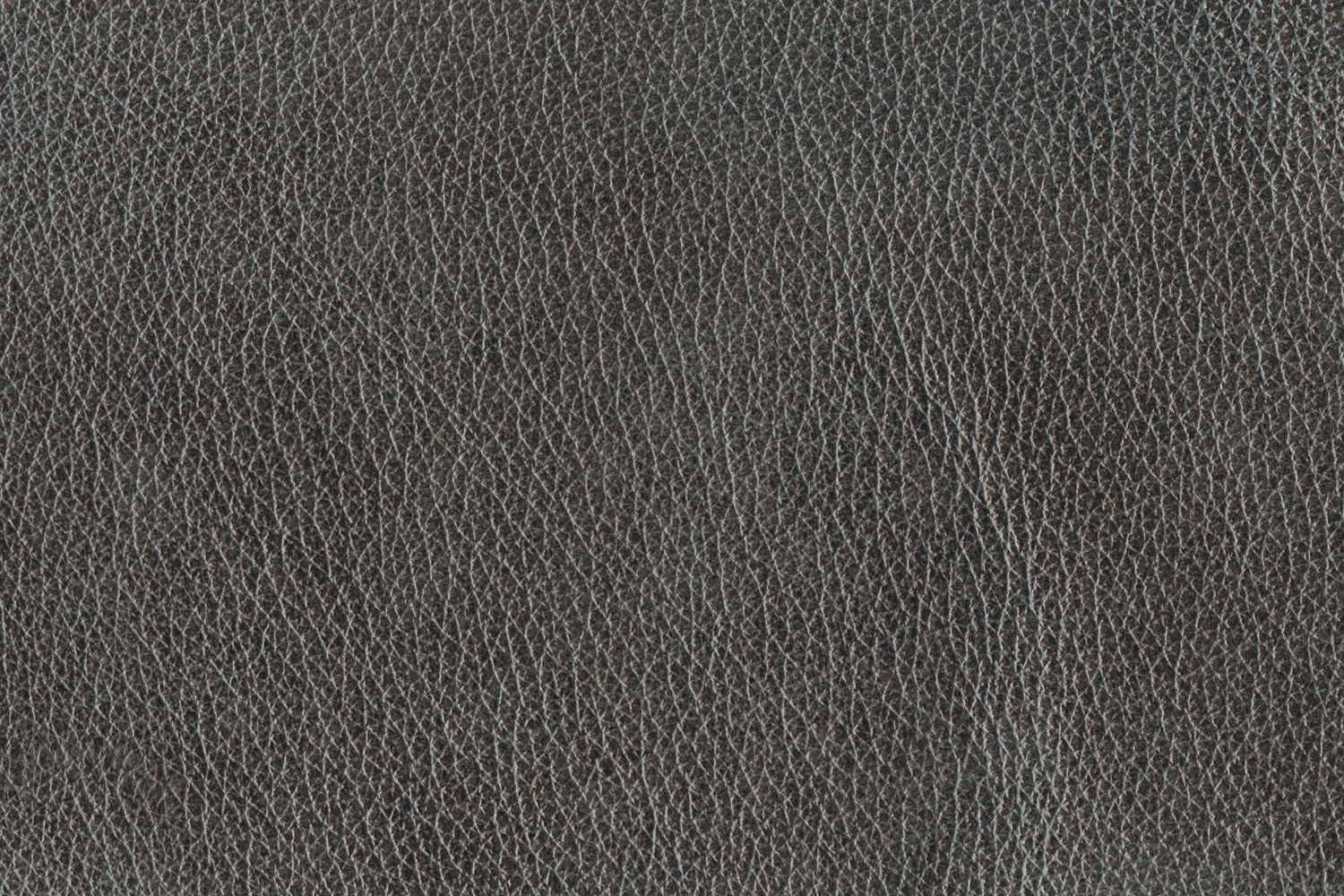 Stampede Leather Sofa - Charcoal