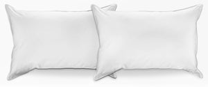 Sleeprite Ens. 2 oreillers standards - blanc