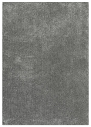 Daisy Tapis (5 pi X 8 pi) - gris