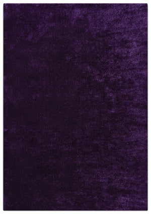 Daisy Tapis (5 pi X 8 pi) - pourpre