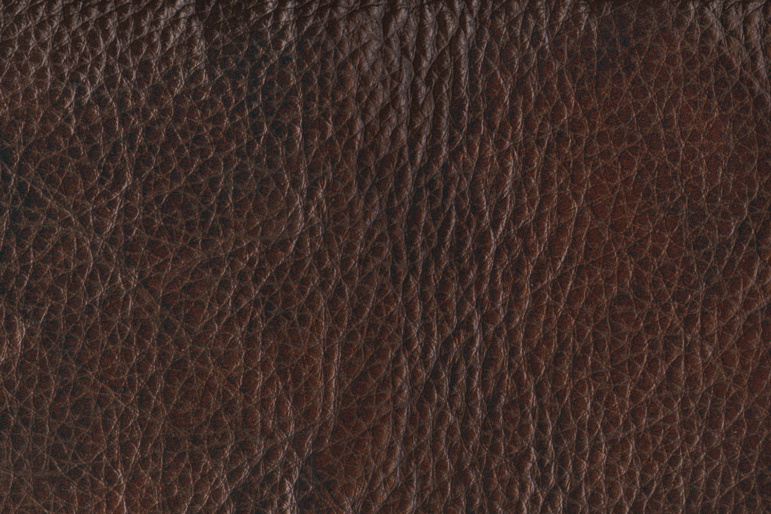 Stampede Leather Chair - Coffee