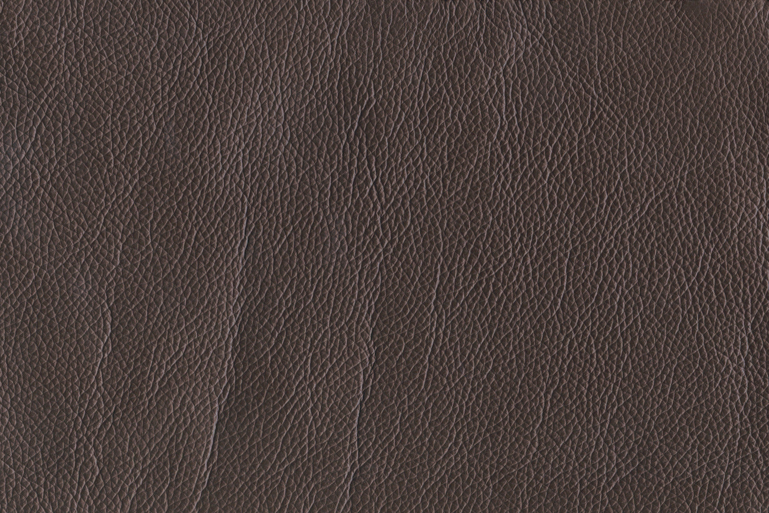 Braylon Leather Loveseat - Dark Chocolate