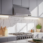 Forno Biagio Stainless Steel 36" 600 CFM Wall Mounted Range Hood - FRHWM5009-36