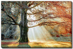 Seasons Divide Wall Art - Orange - 22 X 28