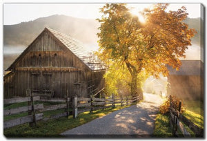 Sunlit Farm Lane Wall Art - Green/Brown - 16 X 20